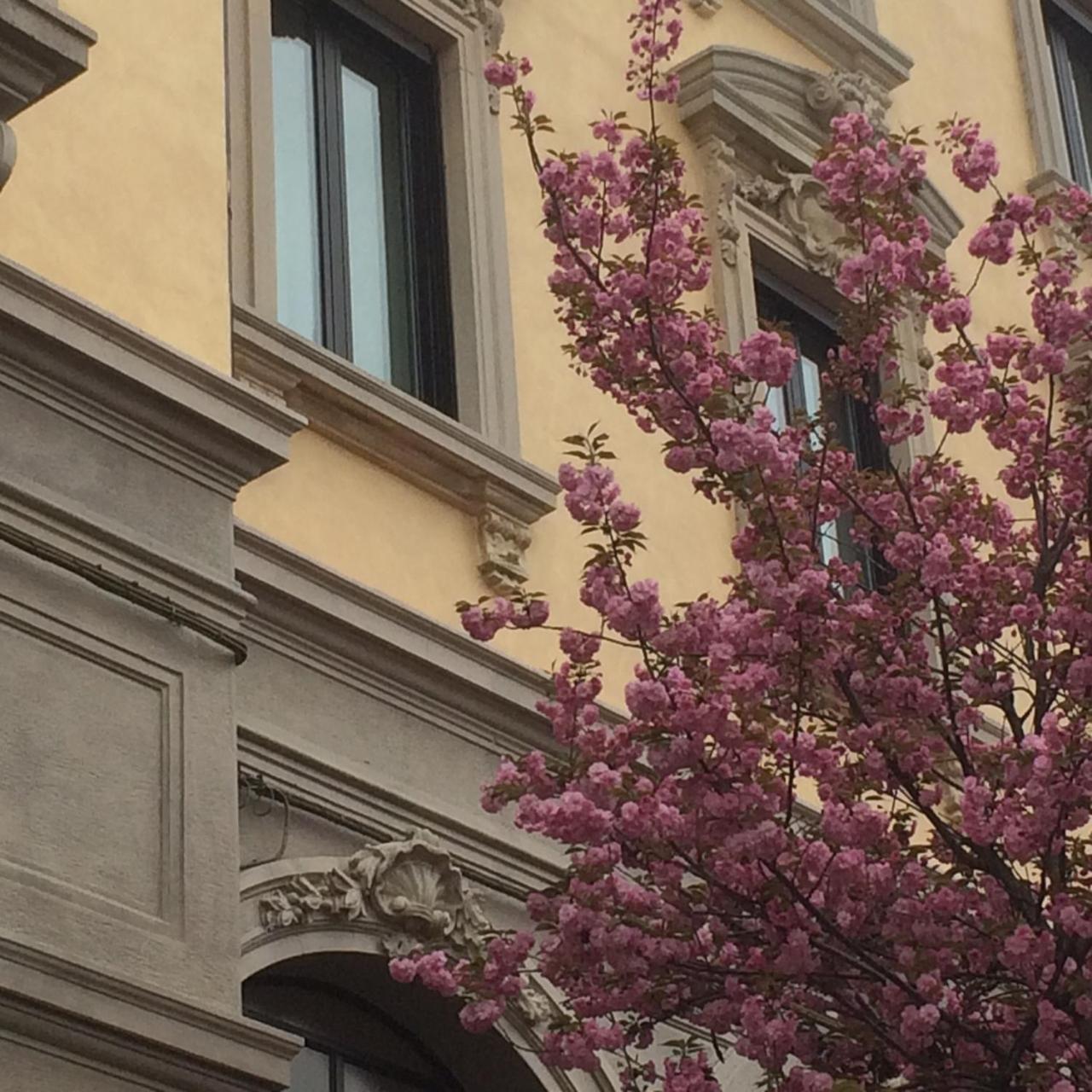 Hotel La Nuova Rotaia Gallarate Bagian luar foto